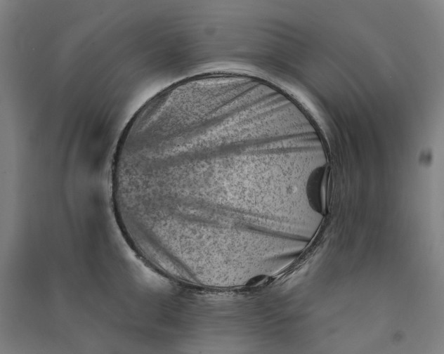 X0000090930999200708201824