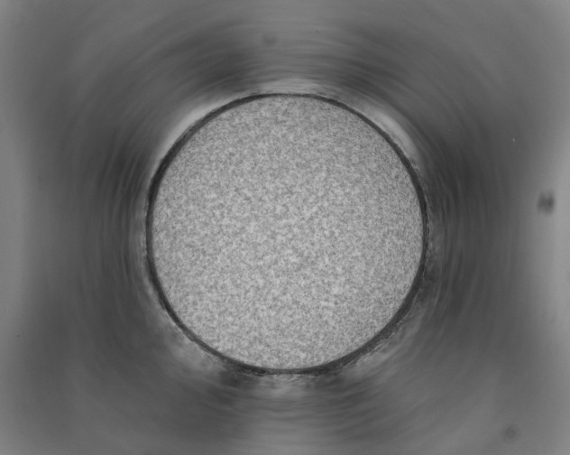 X0000090931000200708201824