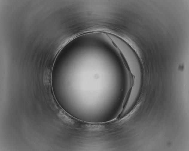 X0000090931001200708201824