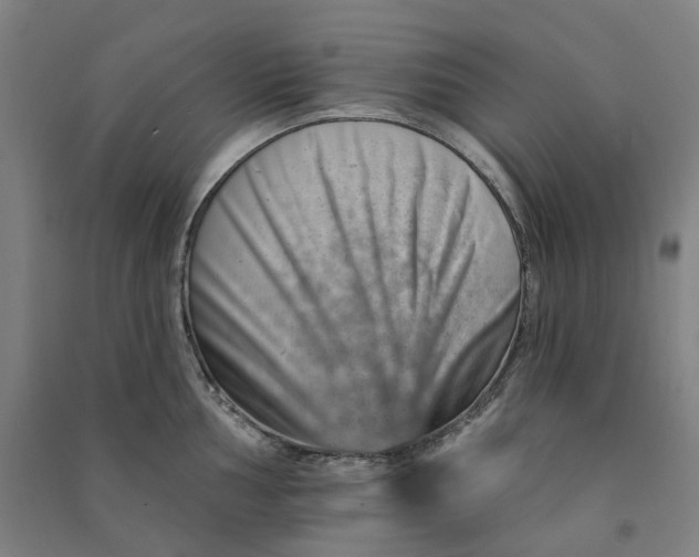 X0000090931002200708201824