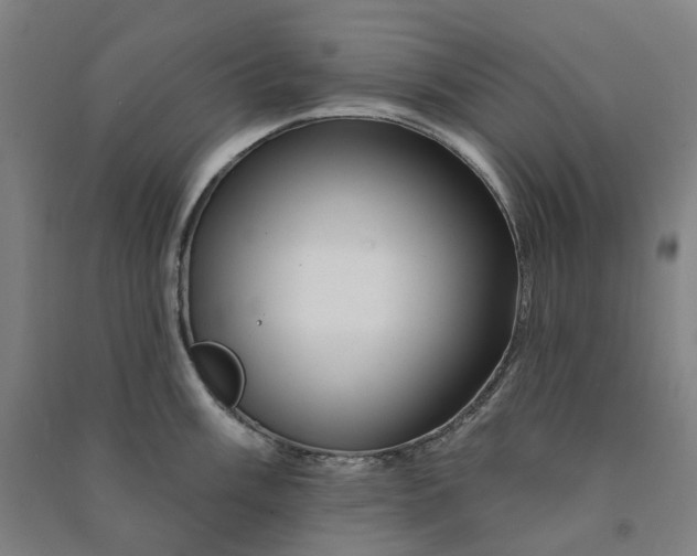 X0000090931003200708201824