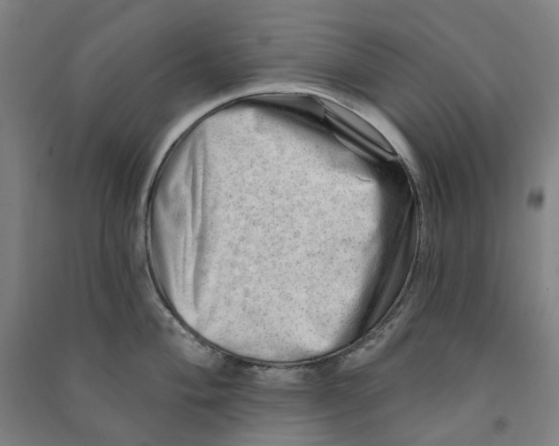 X0000090931004200708201824