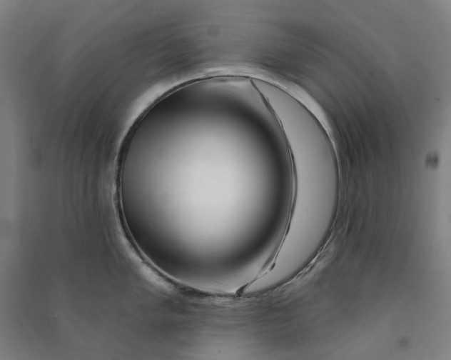 X0000090931005200708201824