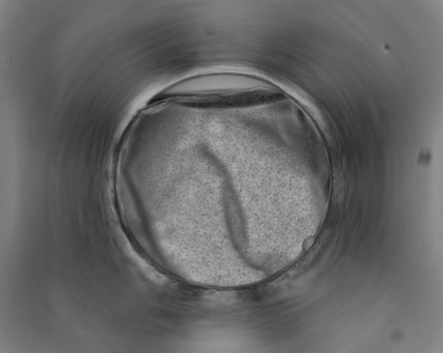 X0000090931006200708201824