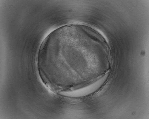 X0000090931007200708201824