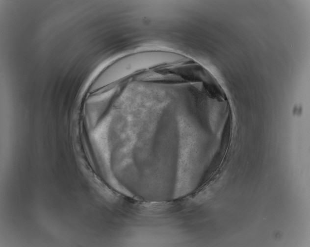 X0000090931008200708201824