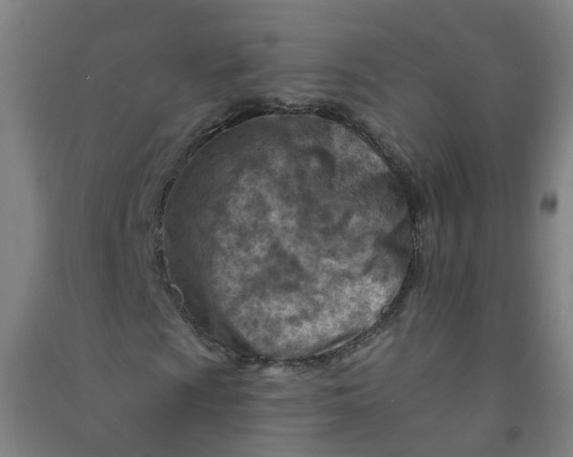 X0000090931009200708201823