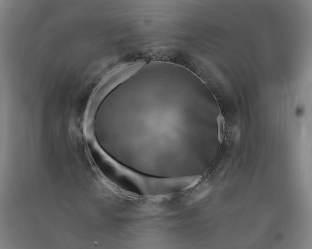 X0000090931010200708201823