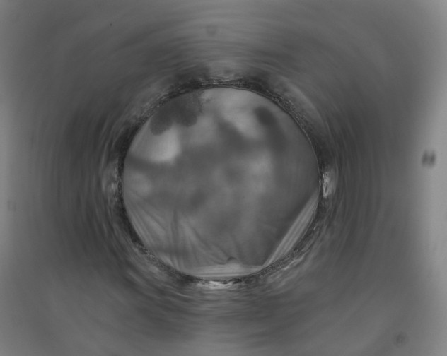 X0000090931011200708201823