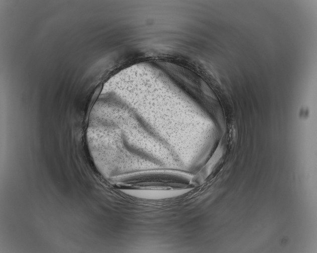 X0000090931012200708201823