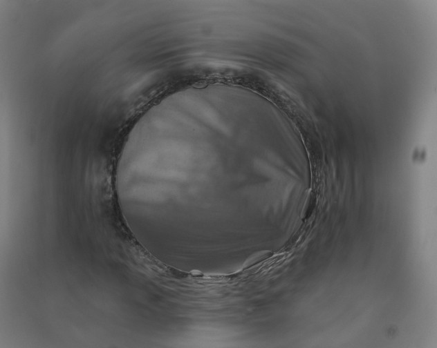 X0000090931013200708201823