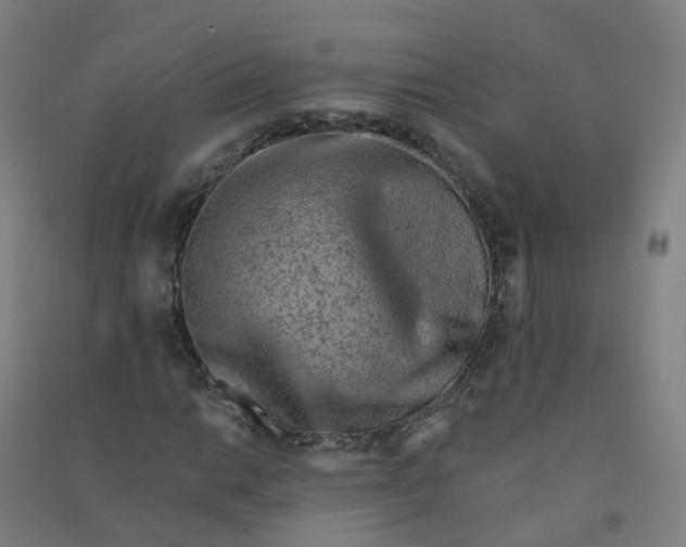 X0000090931014200708201823