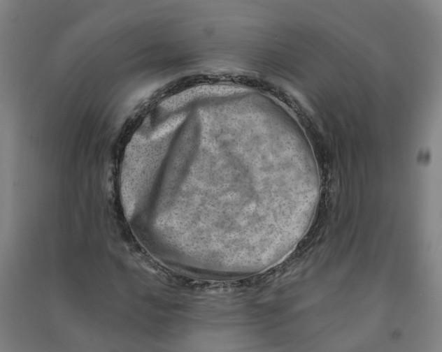 X0000090931016200708201823