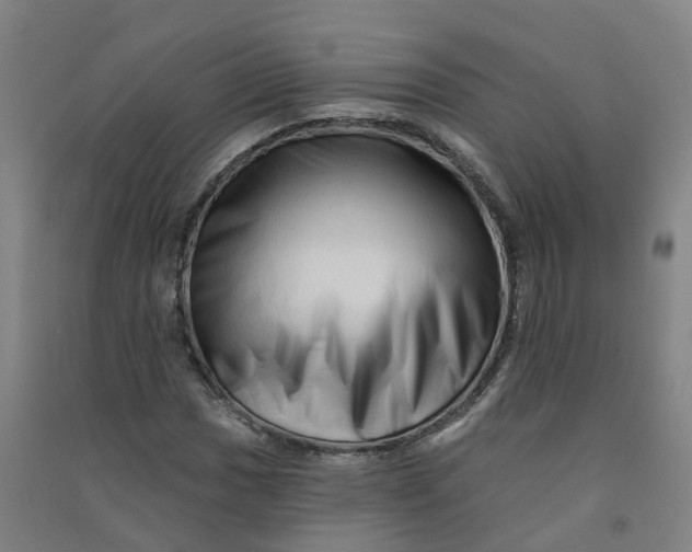 X0000090931017200708201823