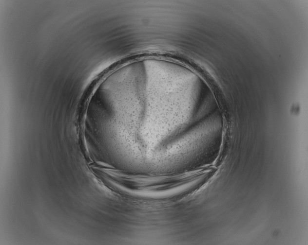 X0000090931018200708201823