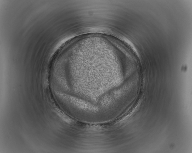 X0000090931019200708201823