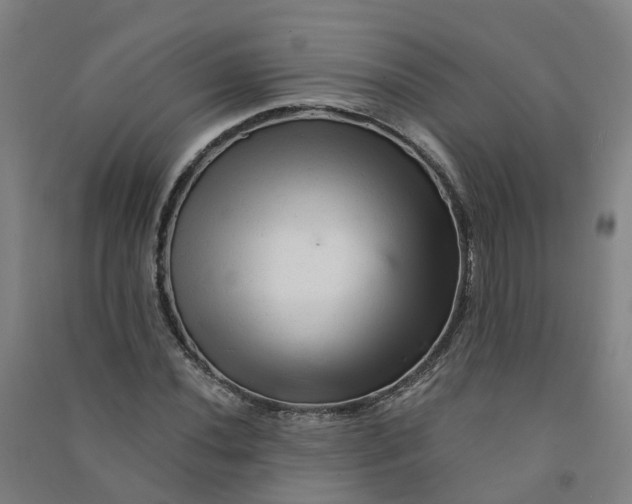 X0000090931020200708201823