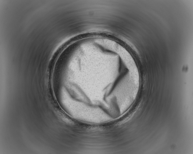 X0000090931021200708201823