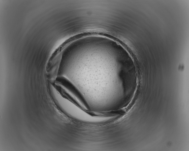 X0000090931022200708201823