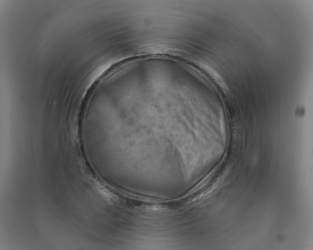 X0000090931023200708201823