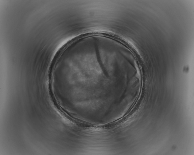 X0000090931024200708201823