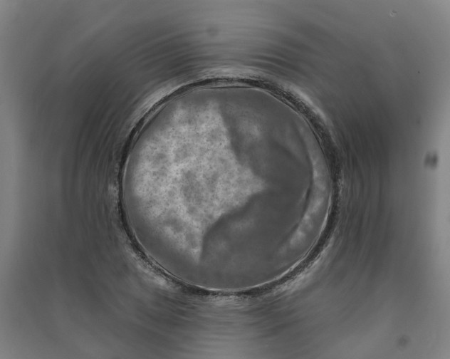 X0000090931025200708201823