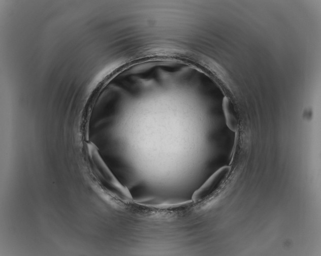 X0000090931026200708201823