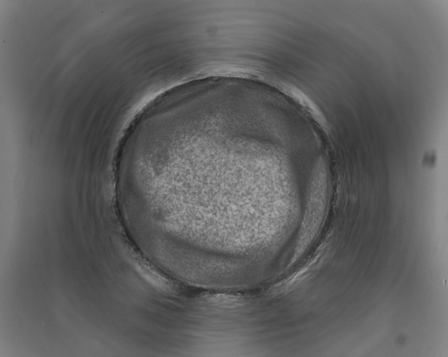 X0000090931027200708201823