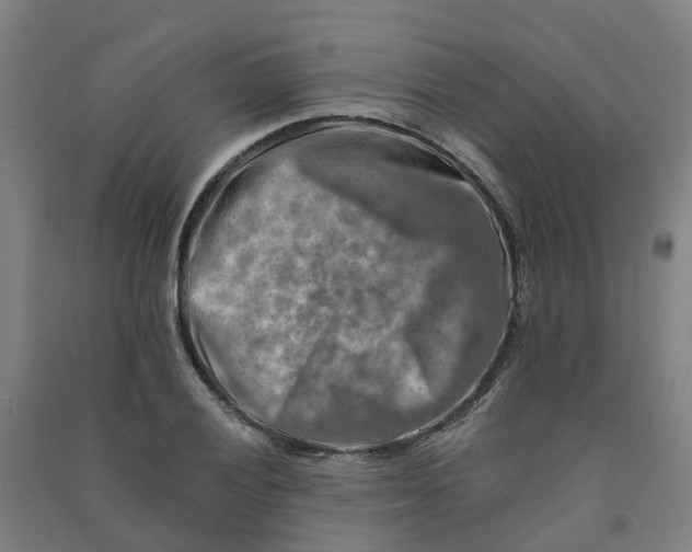 X0000090931028200708201823