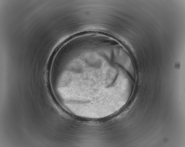 X0000090931029200708201823