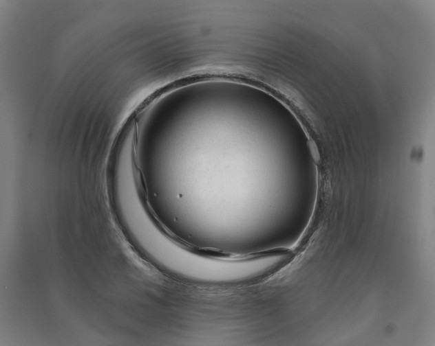 X0000090931030200708201823