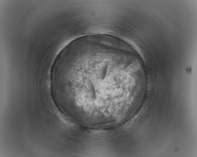 X0000090931031200708201823