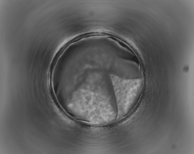 X0000090931032200708201823