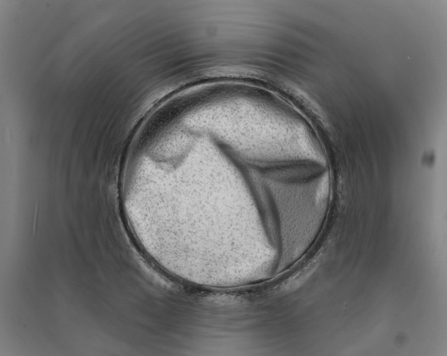 X0000090931033200708201823