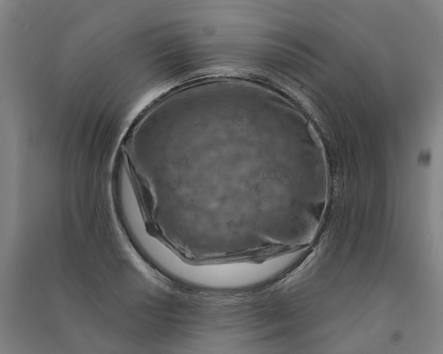 X0000090931034200708201823