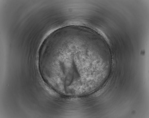 X0000090931035200708201823