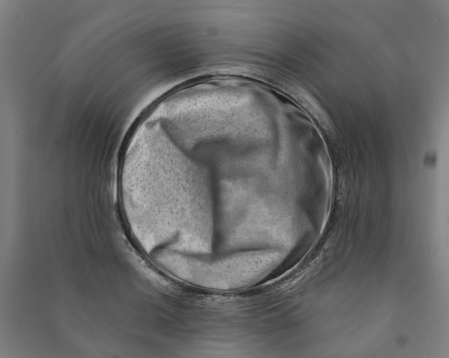 X0000090931036200708201823