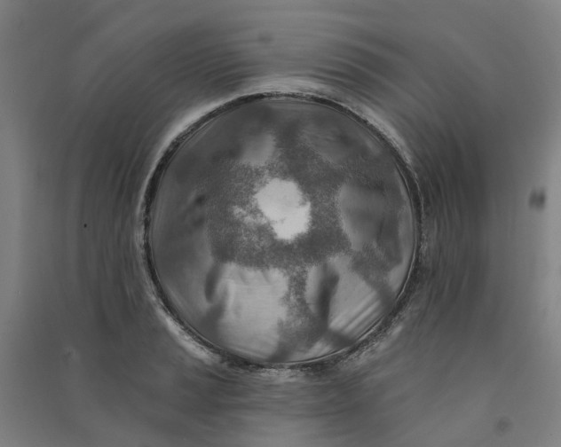 X0000090931037200708201823