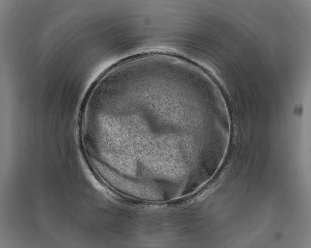 X0000090931038200708201823