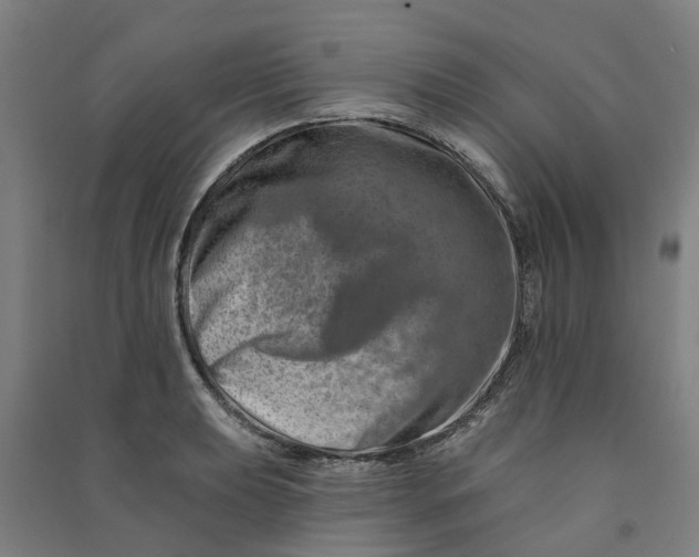 X0000090931039200708201823