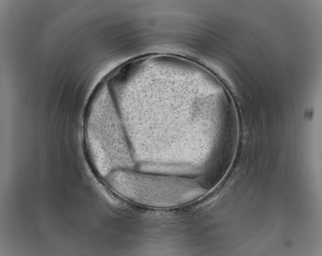 X0000090931040200708201823