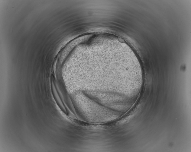 X0000090931041200708201824