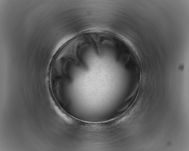 X0000090931042200708201824