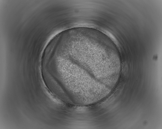 X0000090931043200708201824