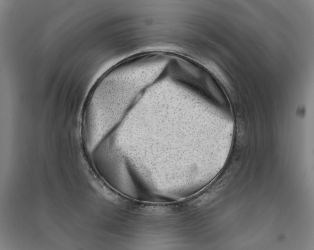 X0000090931044200708201824