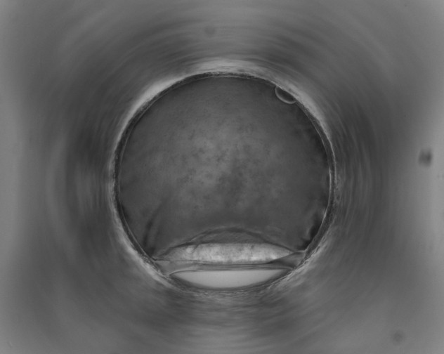 X0000090931045200708201824