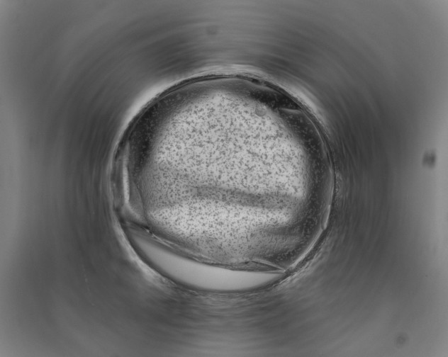 X0000090931046200708201824