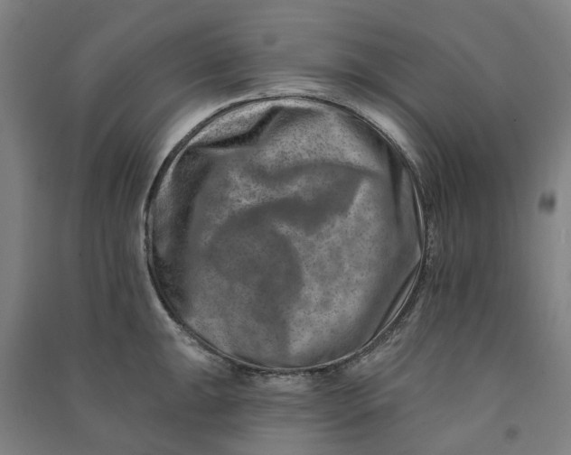 X0000090931047200708201824