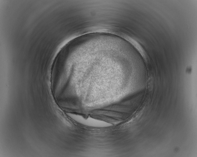 X0000090931051200708201824