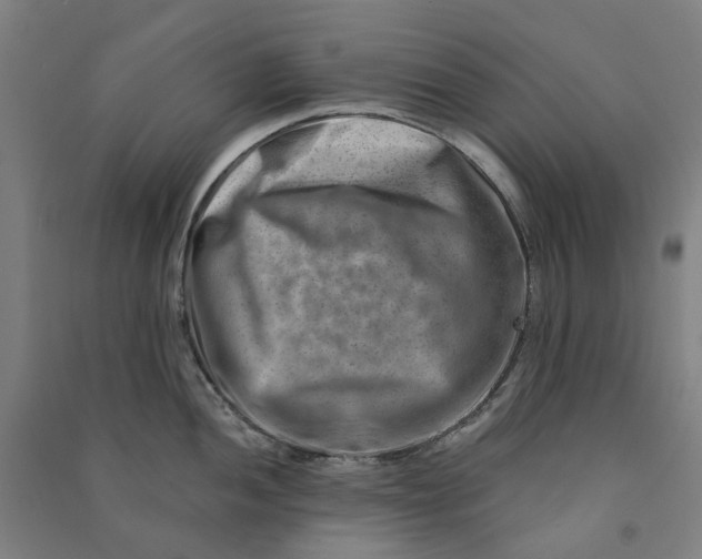 X0000090931052200708201824